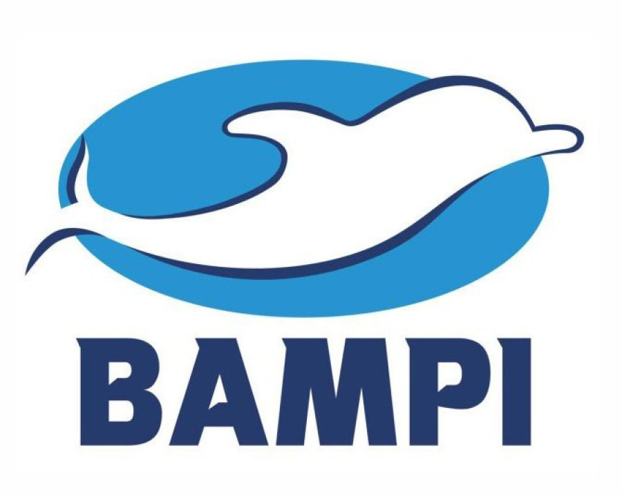 bampi-logo.jpg